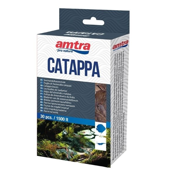 Amtra Catappa Leaves