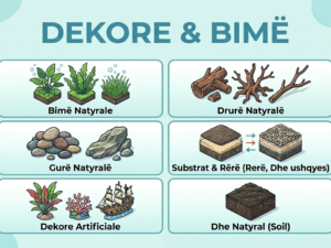 DEKORE & BIMË