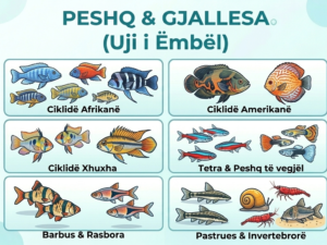 PESHQ & GJALLESA (Uji i Ëmbël)