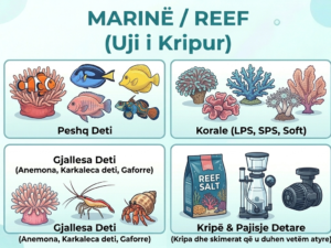 MARINË / REEF
