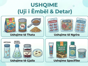USHQIME