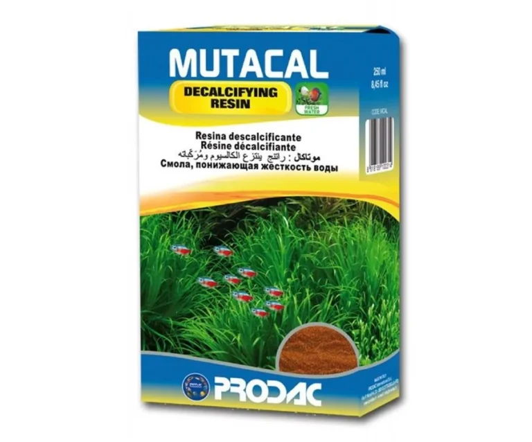 MUTACAL – Rrëshirë Dekalcifikuese (Decalcifying Resin)