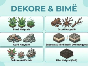 DEKORE & BIMË