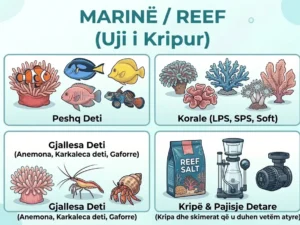 MARINË / REEF