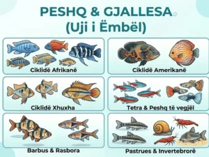PESHQ & GJALLESA (Uji i Ëmbël)